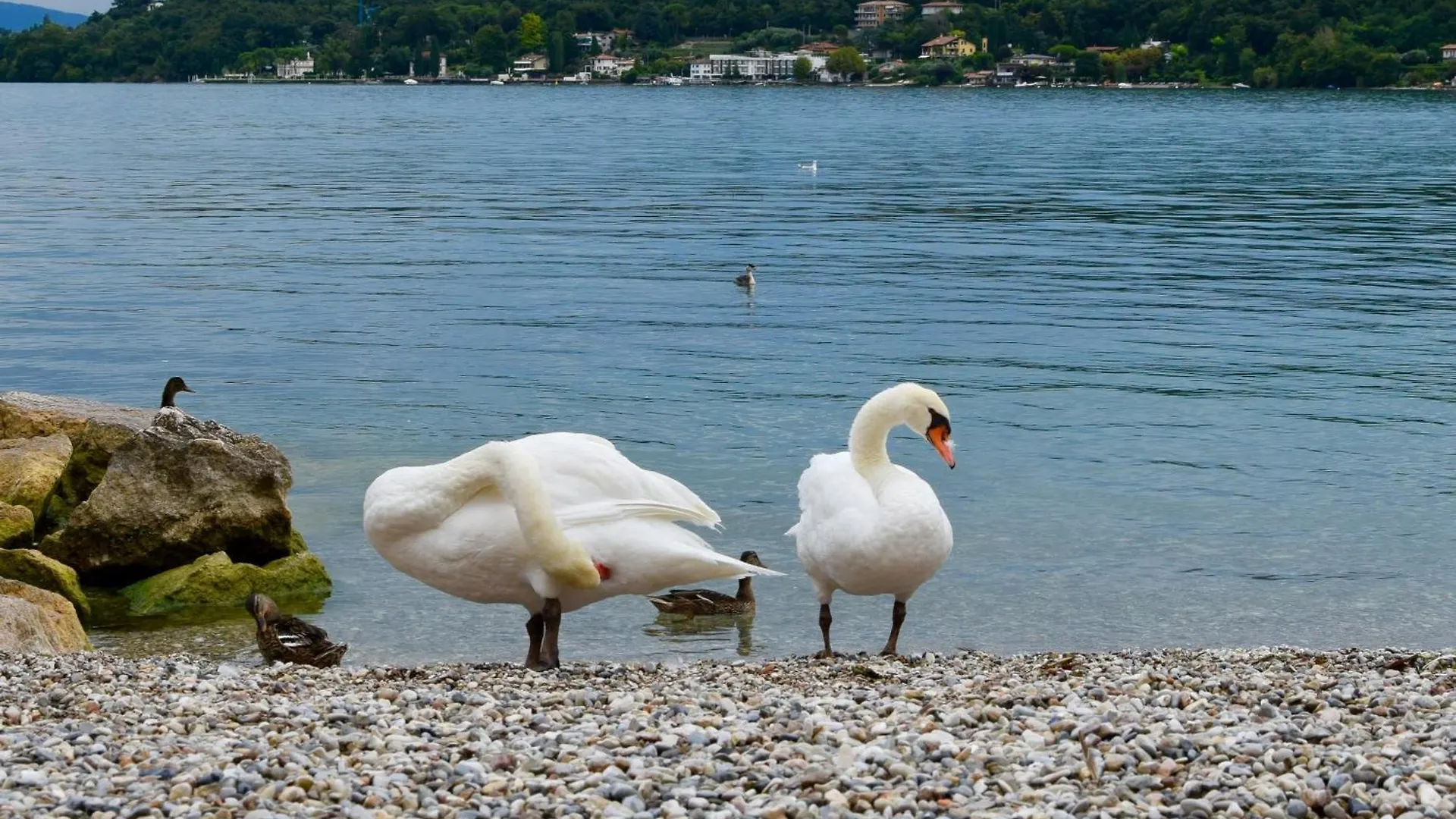 Apartment Villa Donne Del Lago Valentina Salo